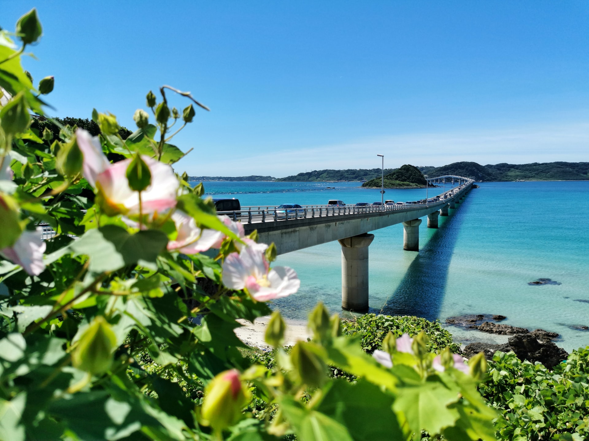 沖縄の景色